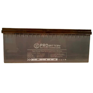 Аккумуляторная батарея PROBATTERY HLС12-200